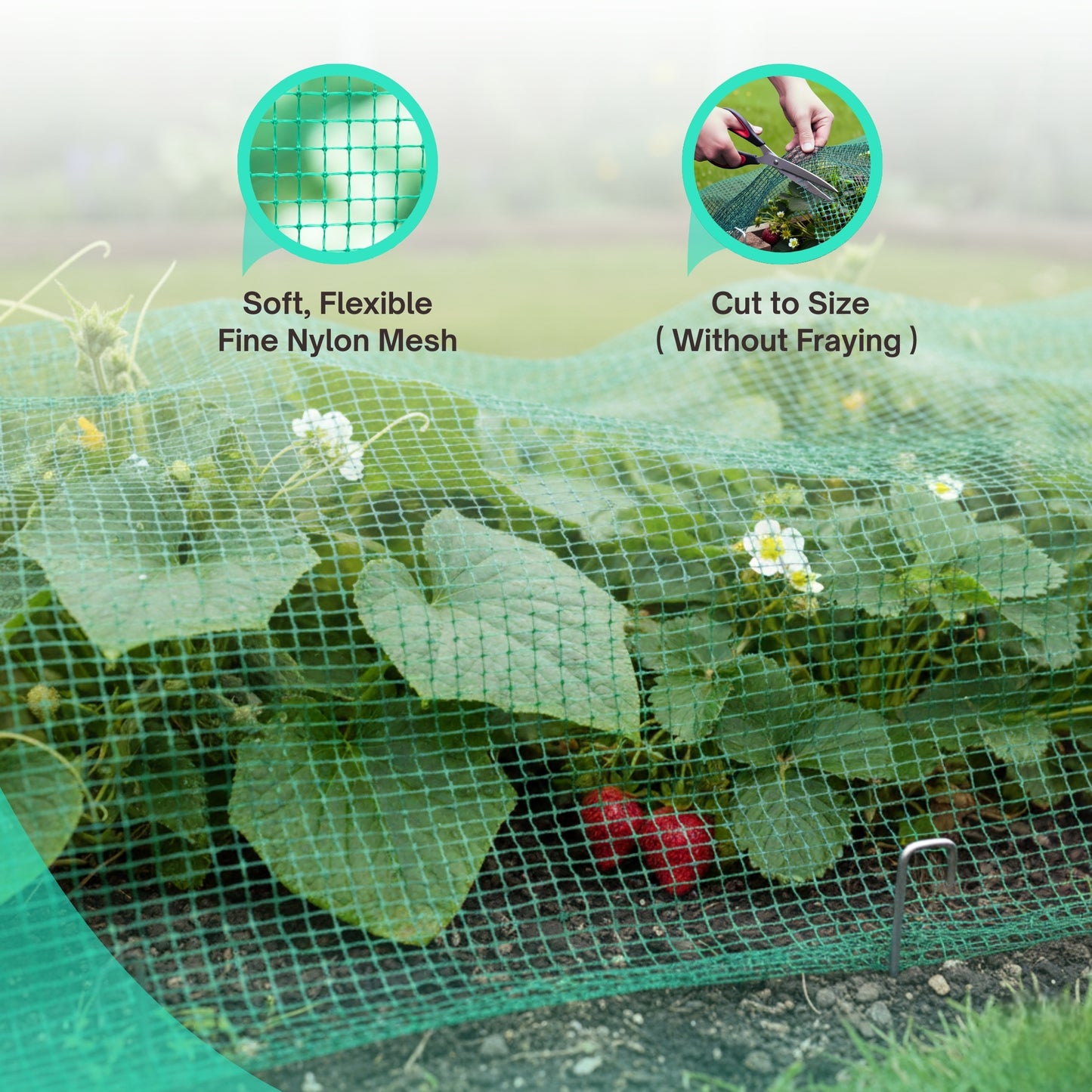 Straame Garden Netting 2m x 10m, Green Nylon Fine garden mesh, Gardening Bird Netting for Vegetable Patch, Allotment & Pond Net Cover, Plant Protection, Cat Deterrent, UV Resistant (pack of 2)