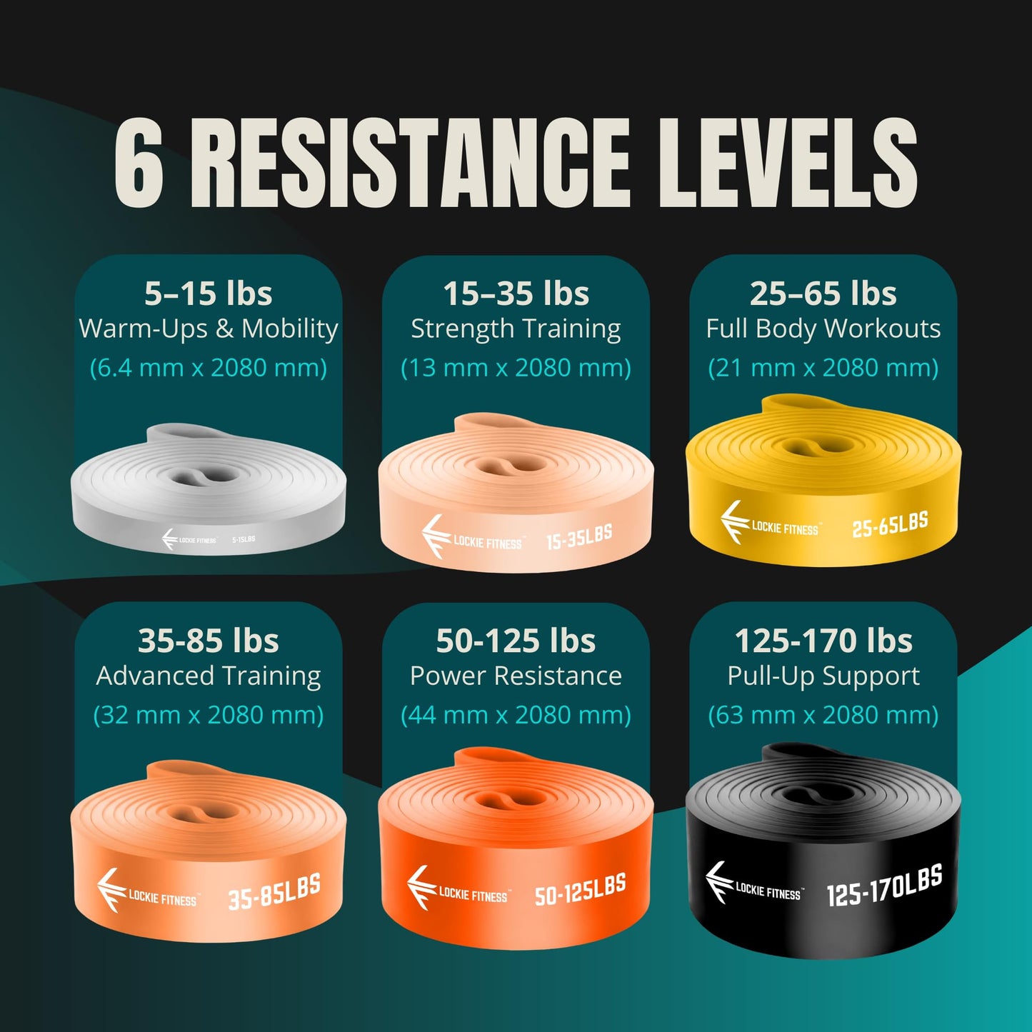 Lockie Fitness Resistance Bands for Pull Up Training, Strength Training and Stretching, Long TPE Exercise Loops, Home Gym Set with Door Anchor and Carry Bag, 6 Piece 5 to 170 lbs