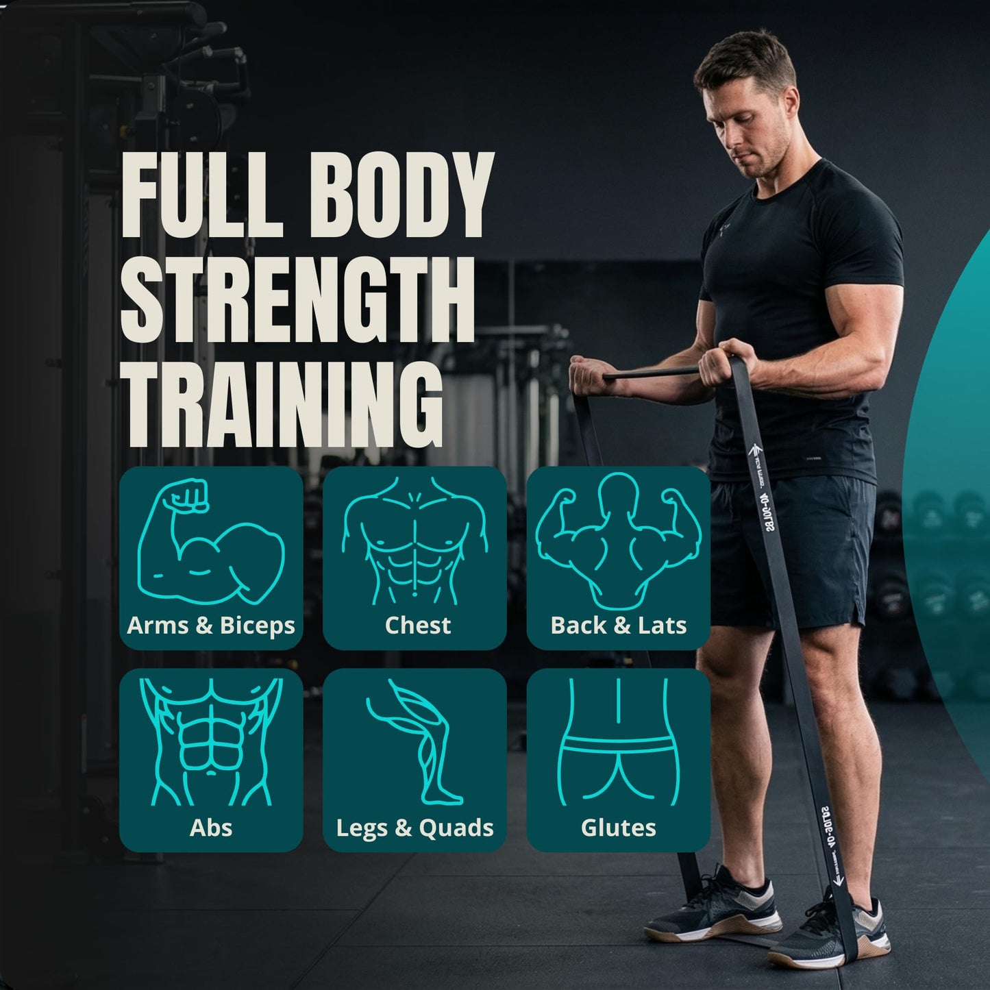 Lockie Fitness Resistance Bands for Pull Up Training, Strength Training and Stretching, Long TPE Exercise Loops, Home Gym Set with Door Anchor and Carry Bag, 6 Piece 5 to 170 lbs
