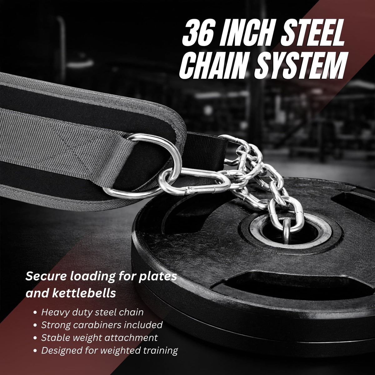Lockie Fitness Weighted Dip Belt, 36 Inch Steel Chain, 350lbs Support, Grey